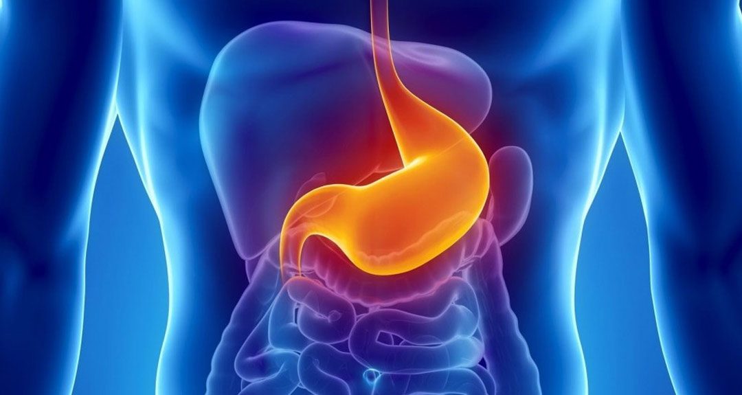 Gastro
